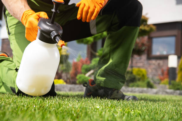 Best Best Pest Control Companies  in Humble, TX