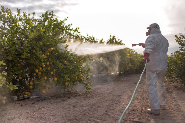 Best Mosquito Control Services  in Humble, TX